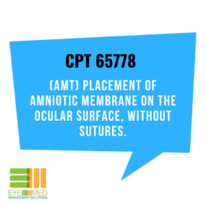 amniotic membrace