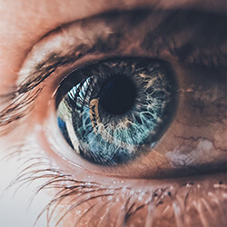 Close up of an Eye - ophthalmology, medical