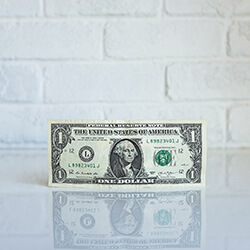 Closeup of a Dollar