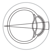 Fullerton Eye Logo